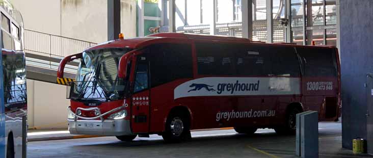 Greyhound Australia Mercedes OH1830 Irizar Century 208